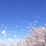 コロナパニックで売上減少した企業への助成について