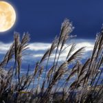 会社設立の仕事