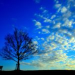 所有権に基づく妨害排除請求権と占有訴権